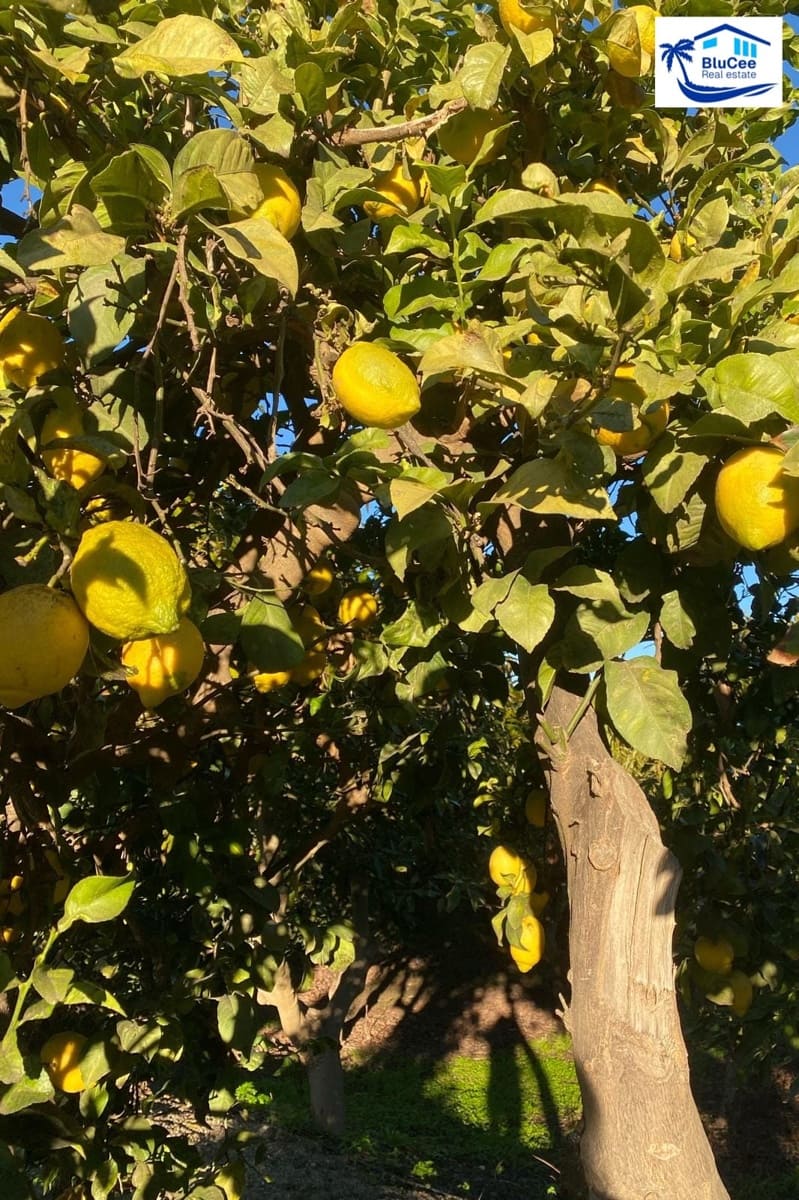 3 sypialnia Finka/Dom wiejski na sprzedaż w Velez-Malaga z garażem - 1 150 000 € (Ref: 9541876)