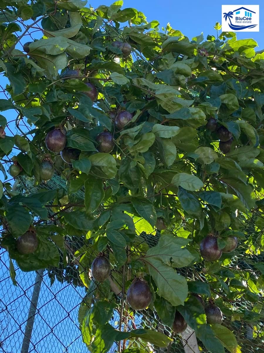 3 sypialnia Finka/Dom wiejski na sprzedaż w Velez-Malaga z garażem - 1 150 000 € (Ref: 9541876)