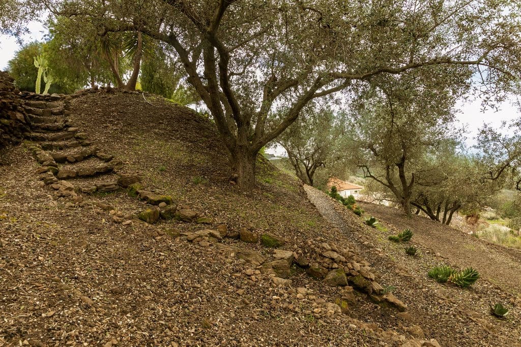 4 soverom Villa til salgs i Velez-Malaga med svømmebasseng garasje - € 725 000 (Ref: 9614299)