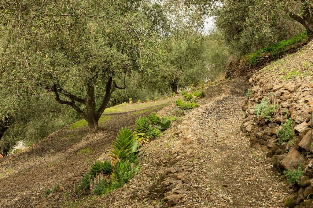 4 soverom Villa til salgs i Velez-Malaga med svømmebasseng garasje - € 725 000 (Ref: 9614299)