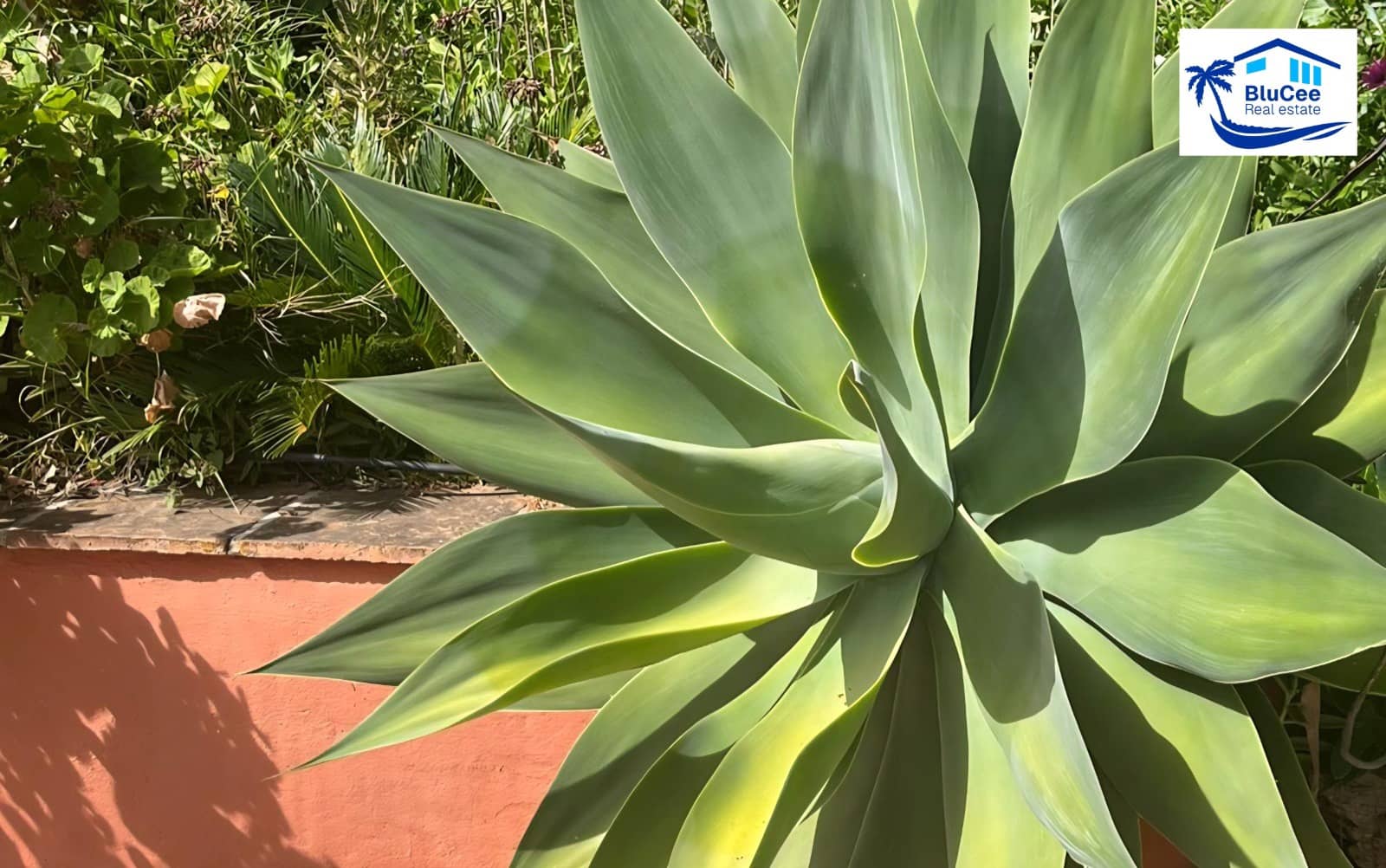 3 soveværelse Byhus til salg i Cutar - € 245.000 (Ref: 9804938)