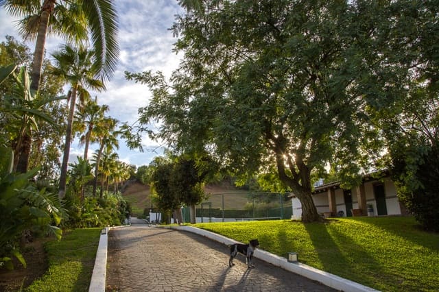 6 soverom Villa til salgs i Mijas med svømmebasseng garasje - € 2 600 000 (Ref: 9902404)