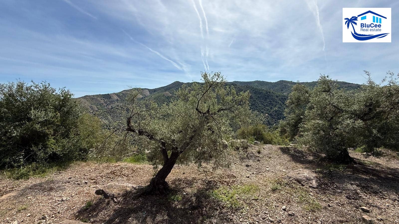3 camera da letto Villa in vendita in Comares con piscina garage - 345.000 € (Rif: 9993650)