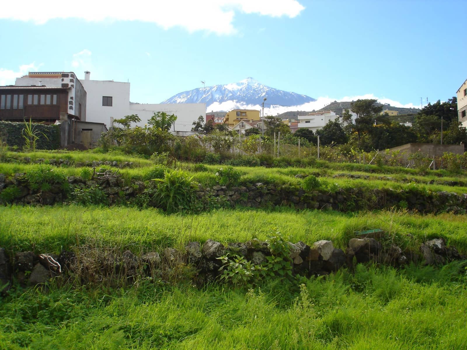 Undeveloped Land for sale in San Juan de la Rambla - € 83,000 (Ref: 10012886)