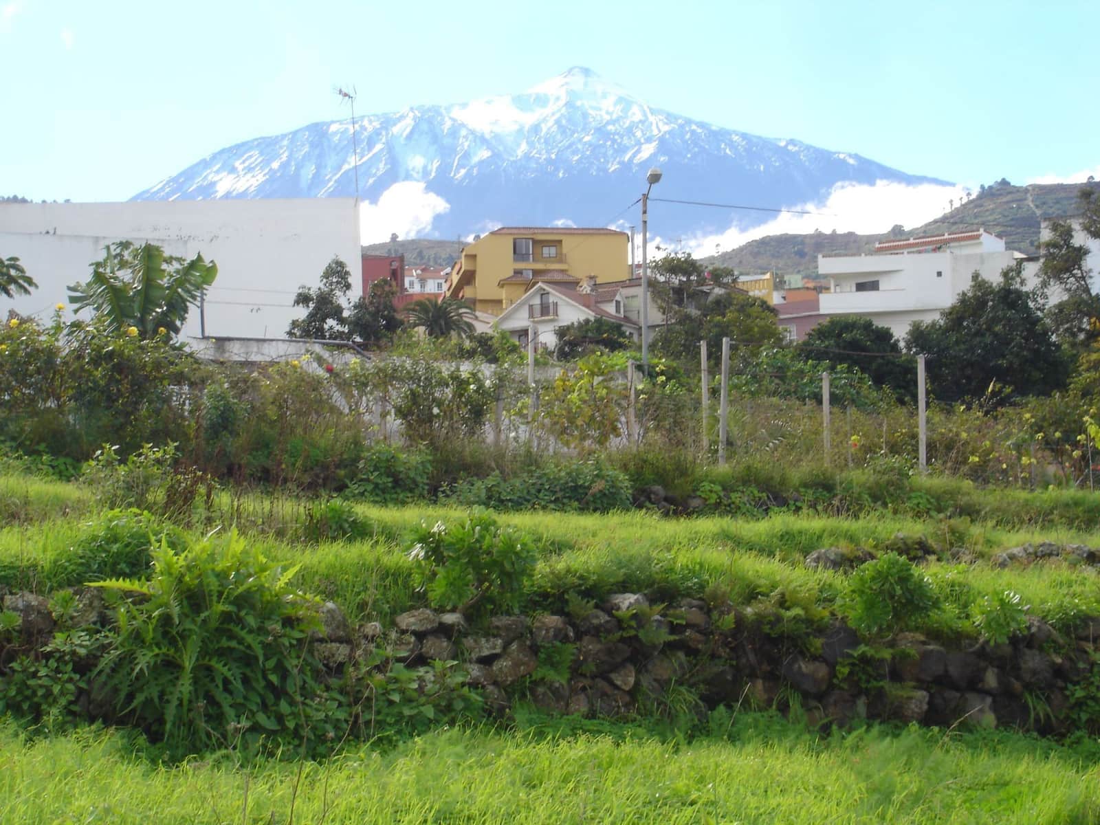 Undeveloped Land for sale in San Juan de la Rambla - € 83,000 (Ref: 10012886)