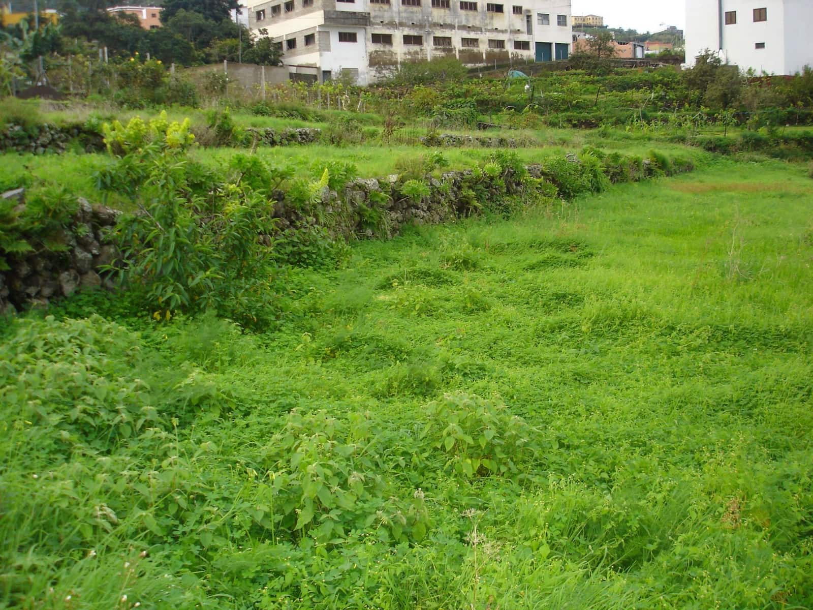Undeveloped Land for sale in San Juan de la Rambla - € 83,000 (Ref: 10012886)