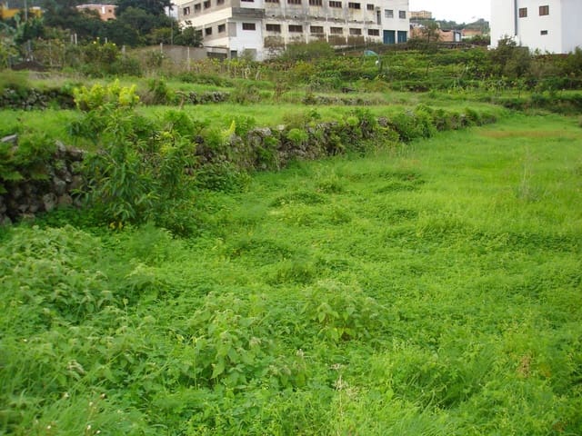 Terreno Non Edificato in vendita in San Juan de la Rambla - 83.000 € (Rif: 10012886)