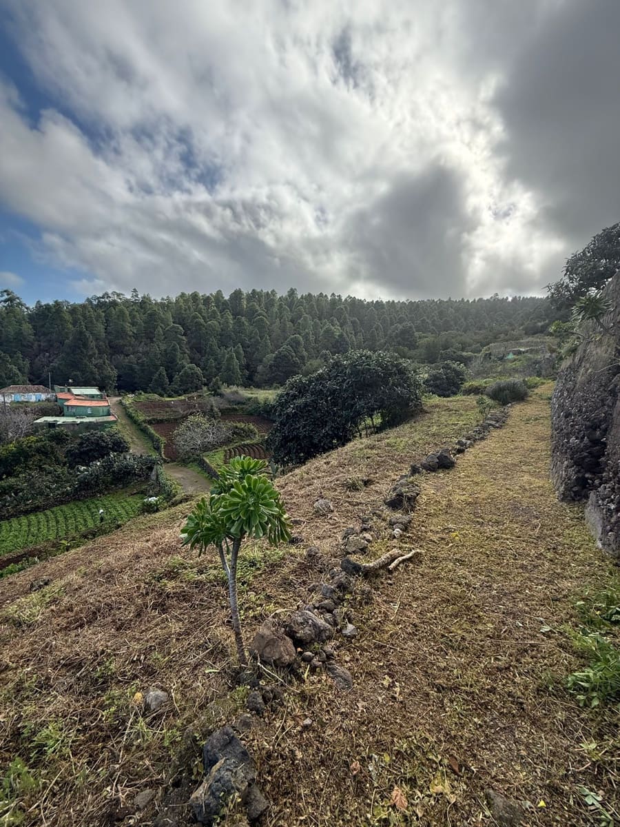4 bedroom Finca/Country House for sale in Icod de los Vinos - € 195,000 (Ref: 10058003)