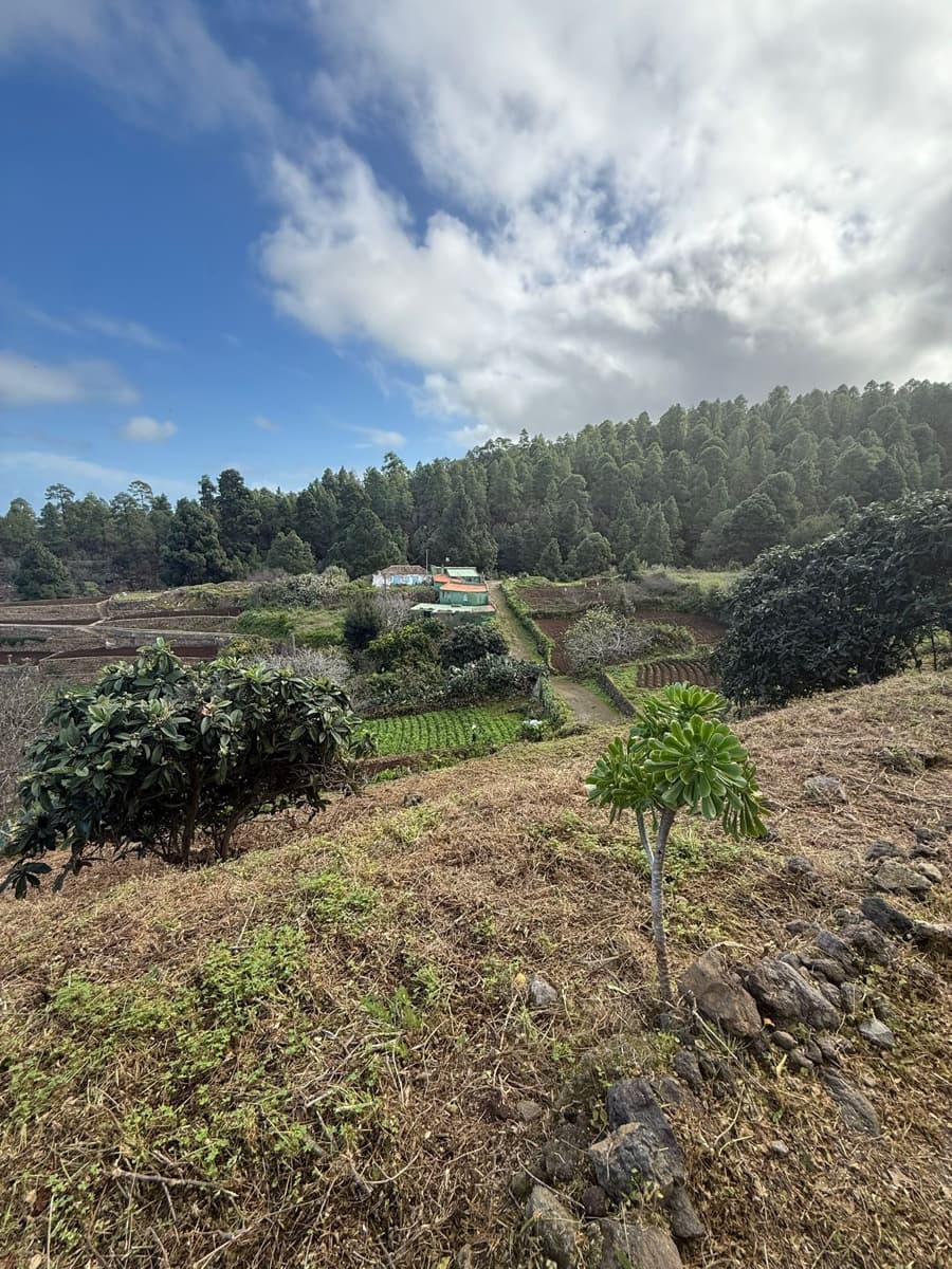 4 bedroom Finca/Country House for sale in Icod de los Vinos - € 195,000 (Ref: 10058003)