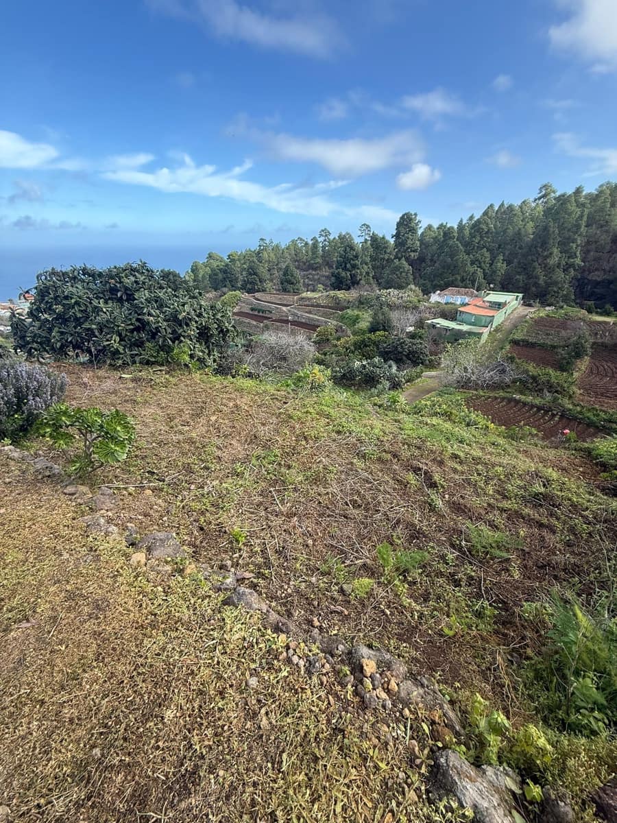4 bedroom Finca/Country House for sale in Icod de los Vinos - € 195,000 (Ref: 10058003)