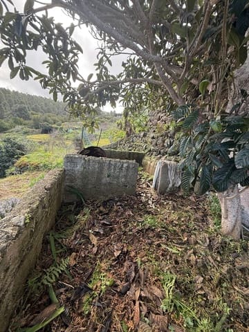 4 sovrum Finca/Hus på landet till salu i Icod de los Vinos - 195 000 € (Ref: 10058003)