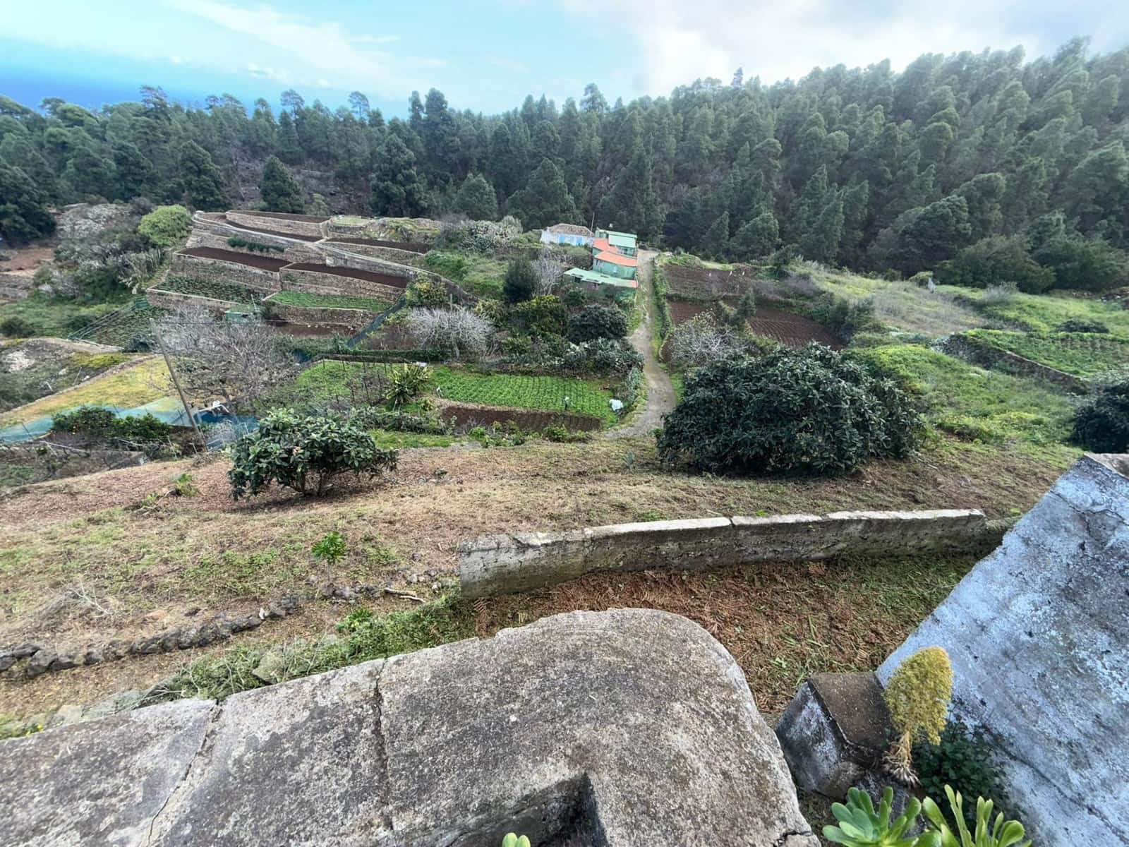 4 bedroom Finca/Country House for sale in Icod de los Vinos - € 195,000 (Ref: 10058003)