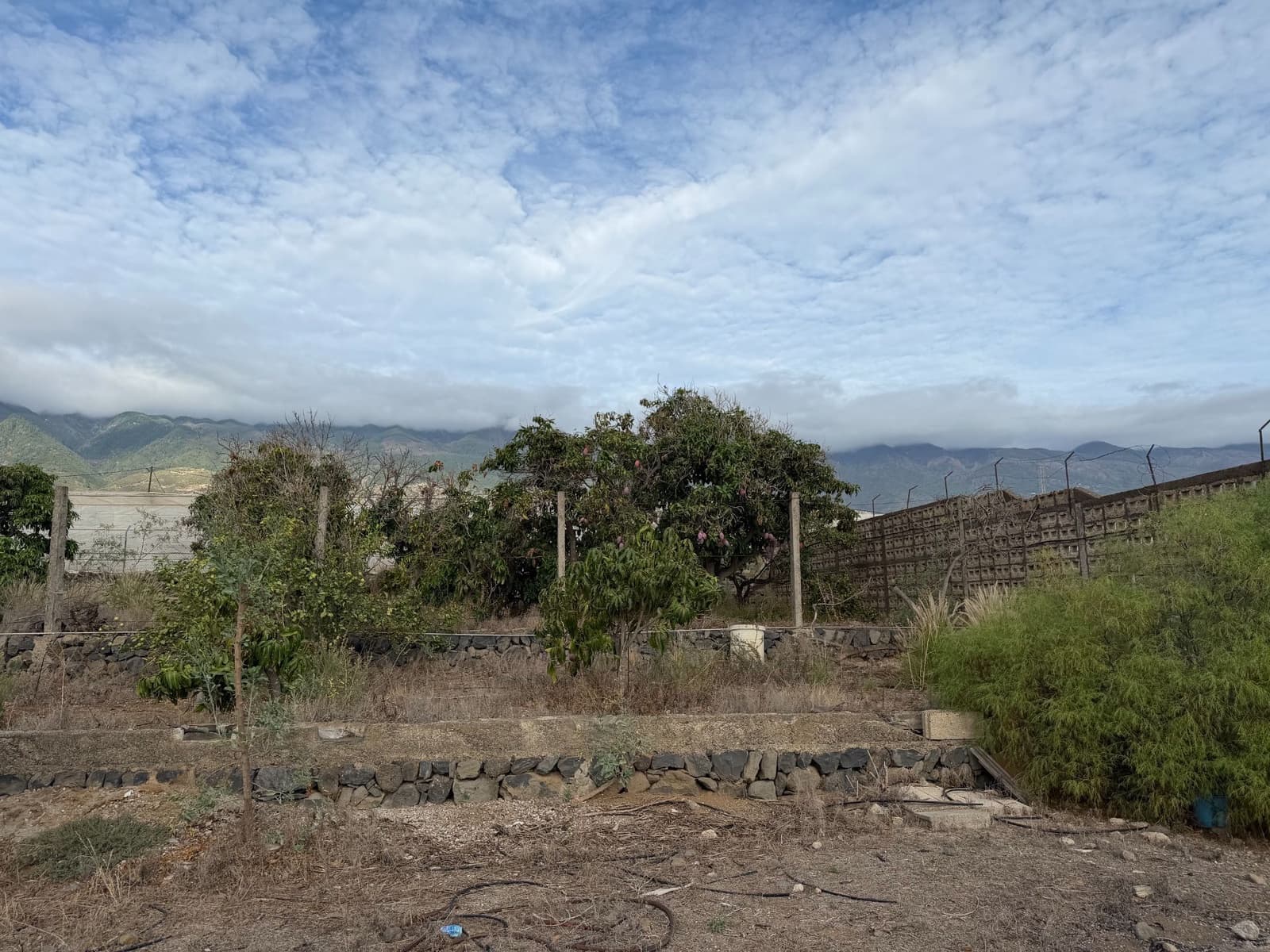 Finca/Herregård til salgs i Guimar - € 588 000 (Ref: 10182634)