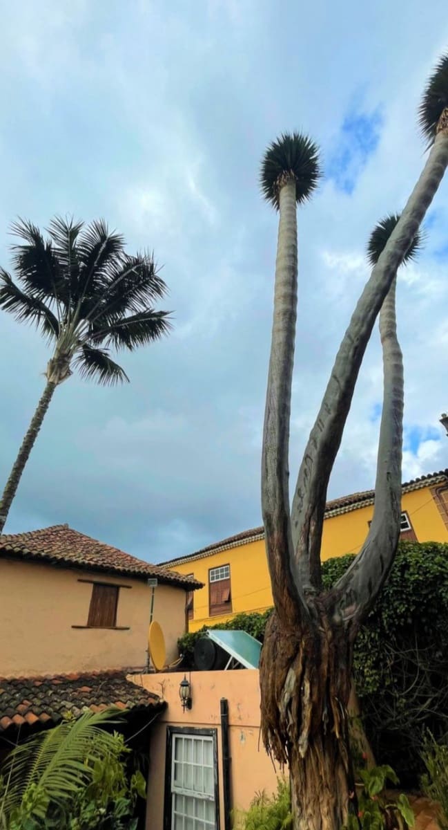 8 quarto Moradia para venda em Icod de los Vinos com garagem - 1 699 000 € (Ref: 6917011)