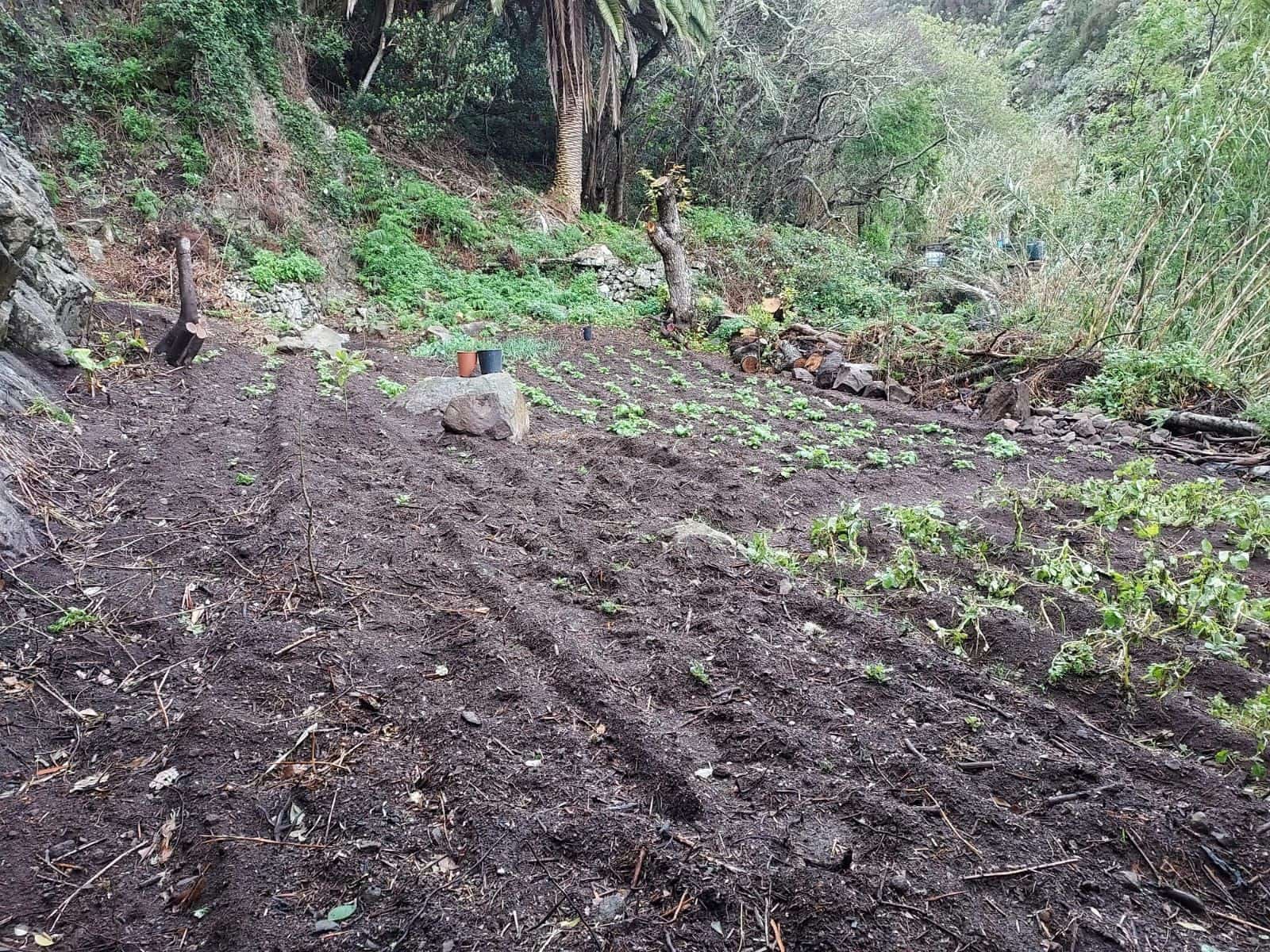 2 bedroom Finca/Country House for sale in San Andrés, Santa Cruz de