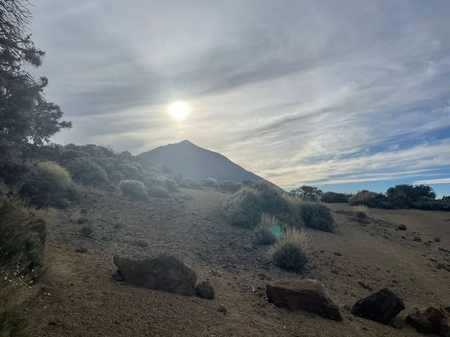 4 quarto Moradia para venda em La Orotava com garagem - 550 000 € (Ref: 7179639)