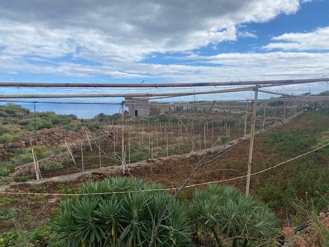 Ubebygd land til salgs i Villa de Arico, Arico - € 264 000 (Ref: 7399191)