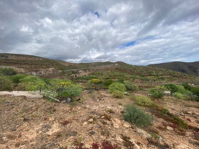 Ubebygd land til salgs i Villa de Arico, Arico - € 264 000 (Ref: 7399191)