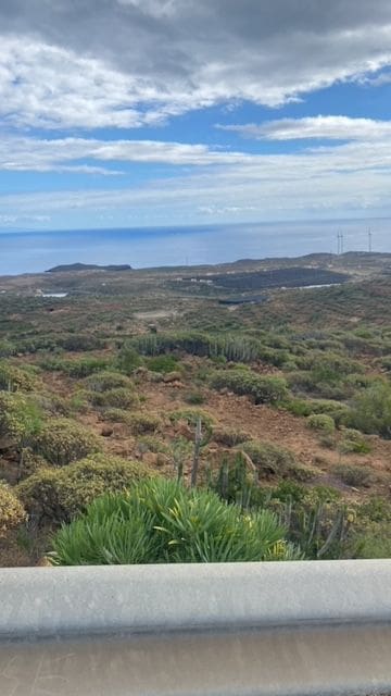 Ubebygd land til salgs i Villa de Arico - € 264 000 (Ref: 7399191)