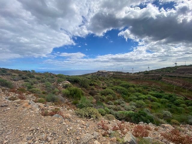 Ubebygd land til salgs i Villa de Arico - € 264 000 (Ref: 7399191)