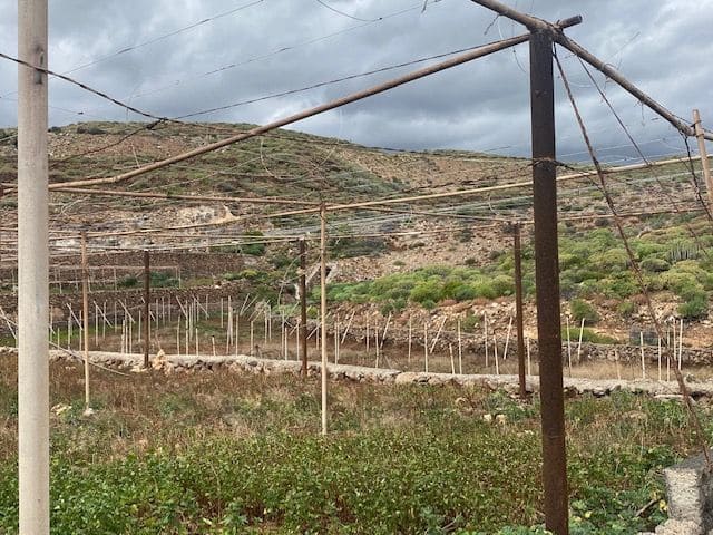 Ubebygd land til salgs i Villa de Arico - € 264 000 (Ref: 7399191)