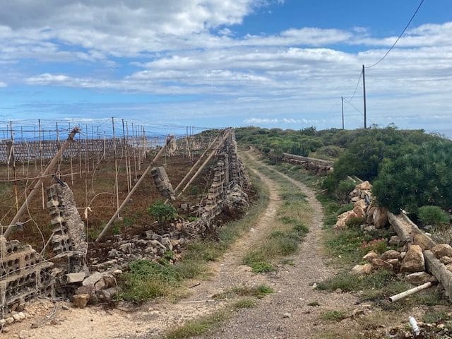 Ubebygd land til salgs i Villa de Arico - € 264 000 (Ref: 7399191)