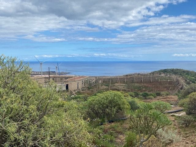 Ubebygd land til salgs i Villa de Arico - € 264 000 (Ref: 7399191)