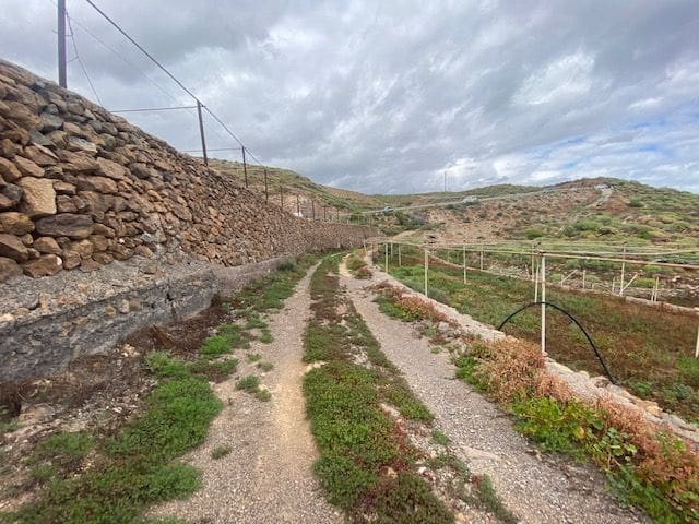 Ubebygd land til salgs i Villa de Arico - € 264 000 (Ref: 7399191)