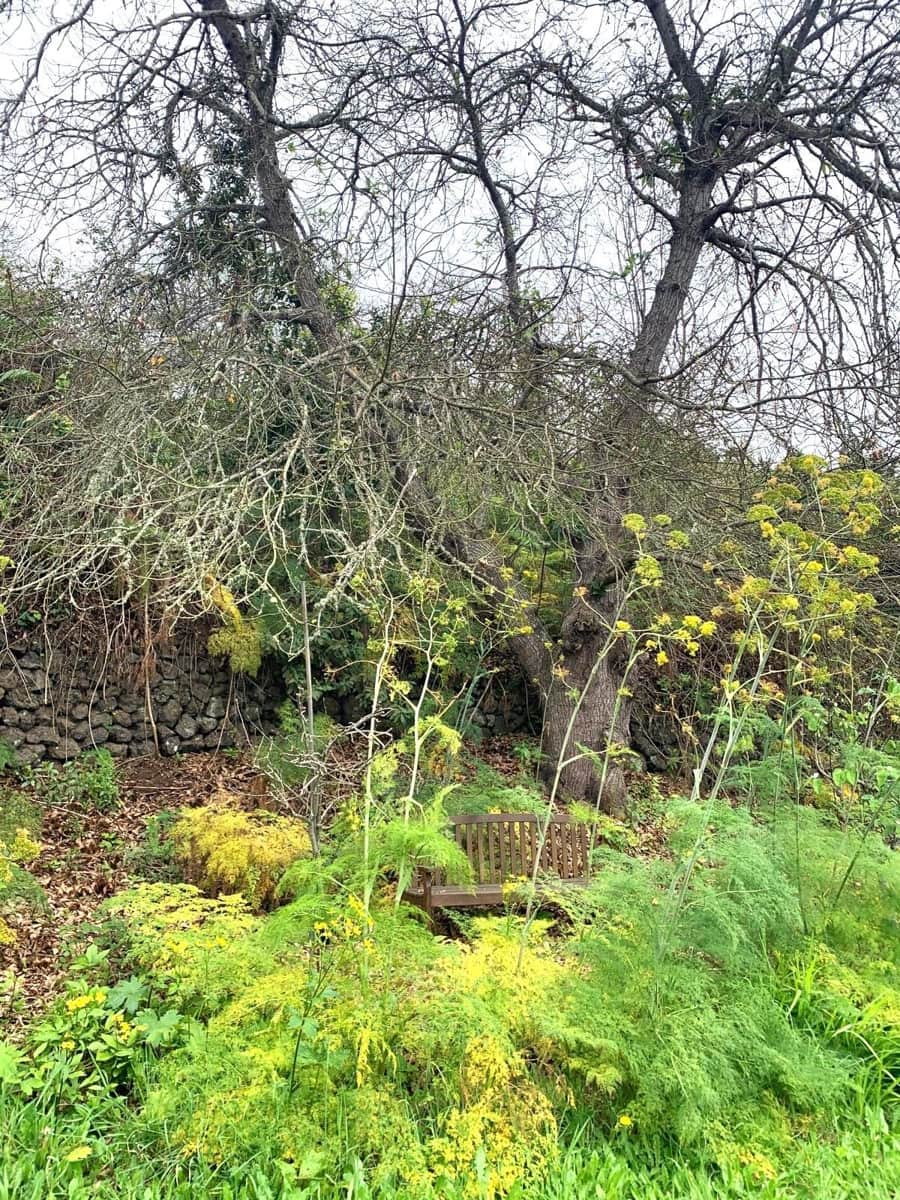 6 soveværelse Villa til salg i La Orotava med garage - € 4.250.000 (Ref: 8284078)