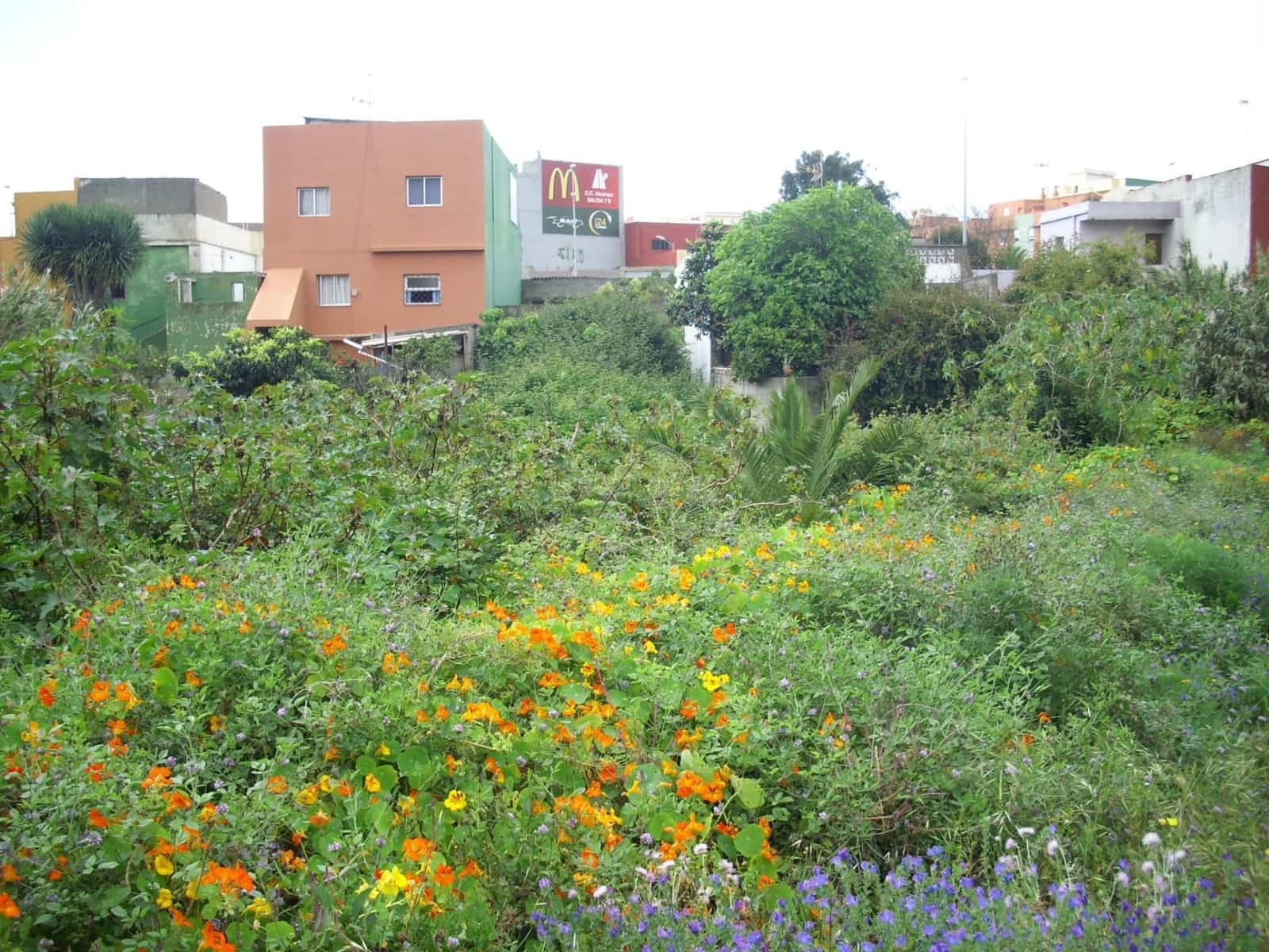 Byggegrund til salg i San Cristobal de La Laguna - € 140.000 (Ref: 8313466)