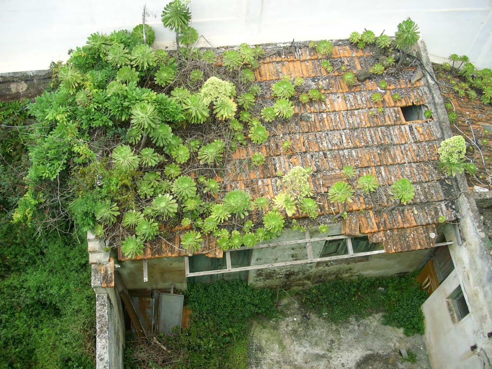 Byggegrund til salg i San Cristobal de La Laguna - € 140.000 (Ref: 8313466)