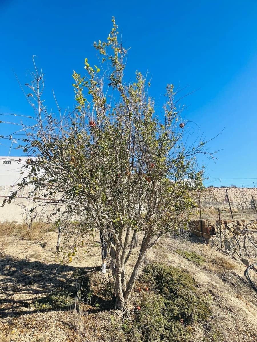 4 bedroom Townhouse for sale in Arico - € 250,000 (Ref: 8721834)