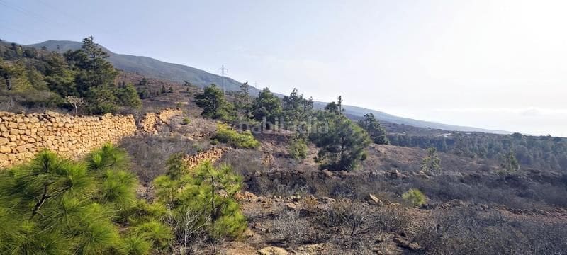 Quinta/Casa Rural para venda em Villa de Arico - 100 900 € (Ref: 8721835)