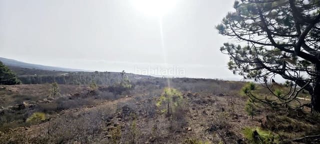 Finca/Landehus til salg i Villa de Arico, Arico - € 100.900 (Ref: 8721835)