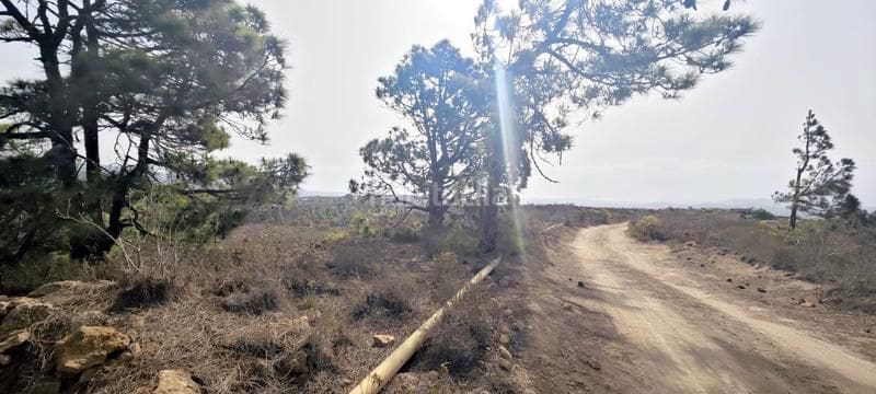 Quinta/Casa Rural para venda em Villa de Arico - 100 900 € (Ref: 8721835)