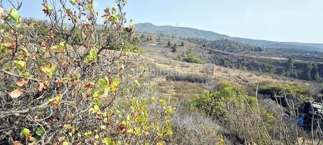 Finca/Landehus til salg i Villa de Arico, Arico - € 100.900 (Ref: 8721835)