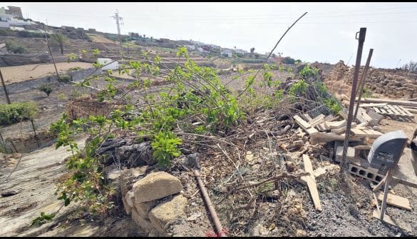 Byggetomt til salgs i Villa de Arico, Arico - € 41 330 (Ref: 8721837)