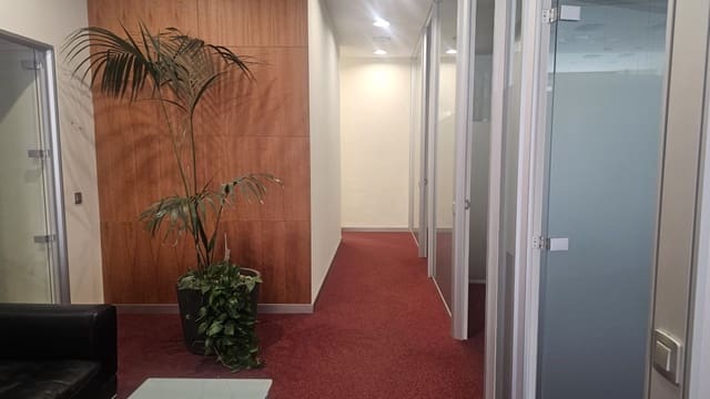 Toimisto vuokrattavana paikassa Zona Centro, Santa Cruz de Tenerife - 6 000 € (Ref: 8884016)