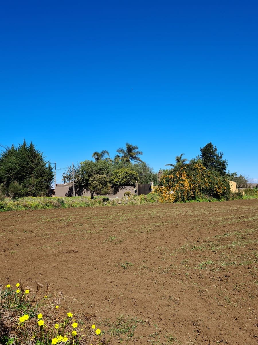5 bedroom Villa for sale in La Esperanza with pool garage - € 700,000 (Ref: 8905026)