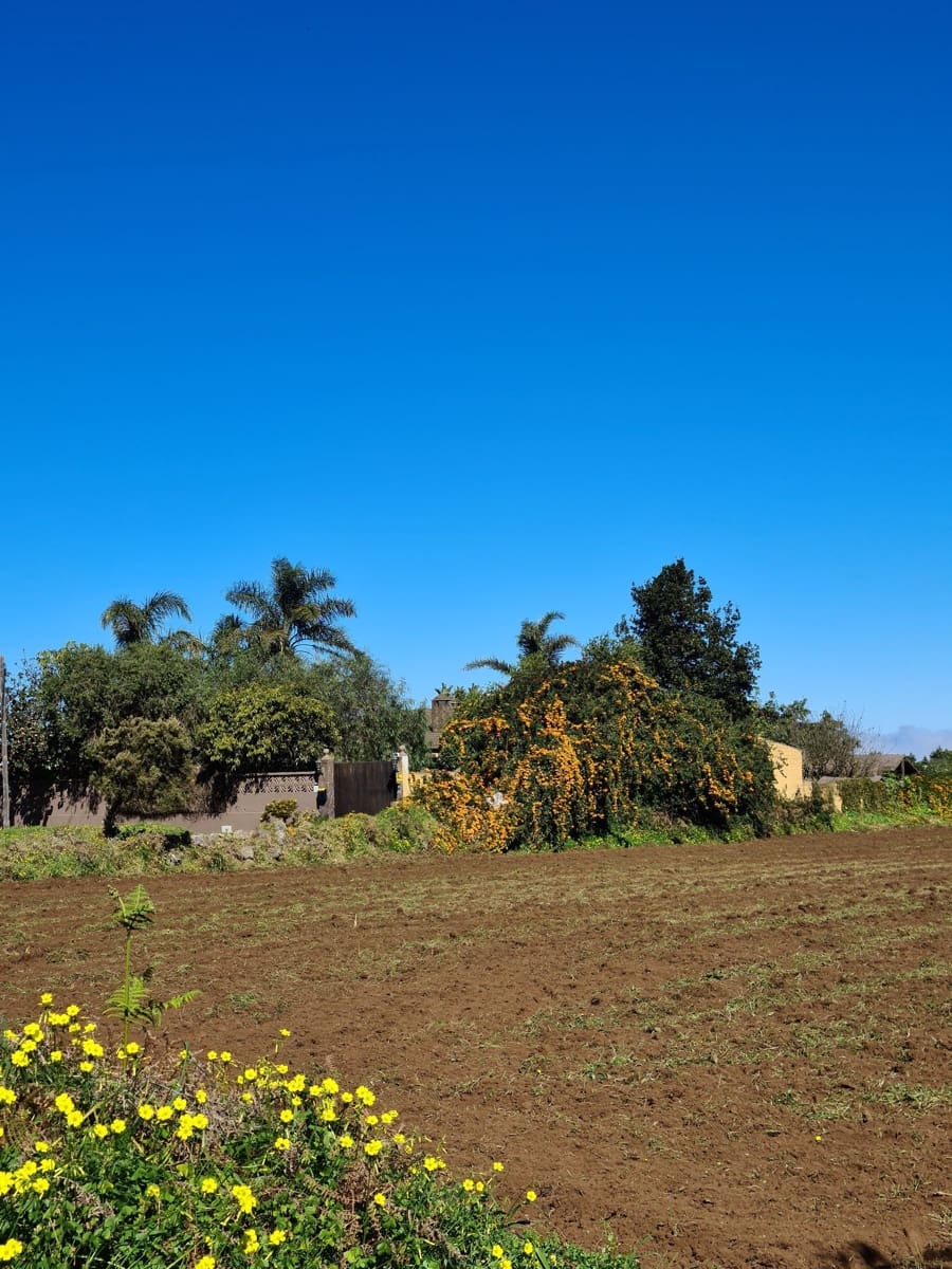 5 bedroom Villa for sale in La Esperanza with pool garage - € 700,000 (Ref: 8905026)