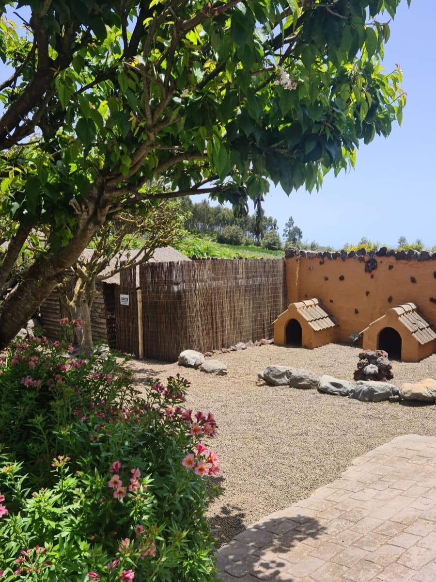 5 bedroom Villa for sale in La Esperanza with pool garage - € 700,000 (Ref: 8905026)