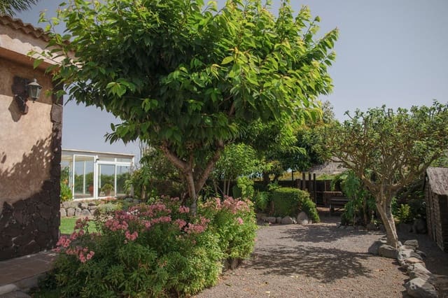 5 soveværelse Villa til salg i La Esperanza, El Rosario med swimmingpool garage - € 700.000 (Ref: 8905026)