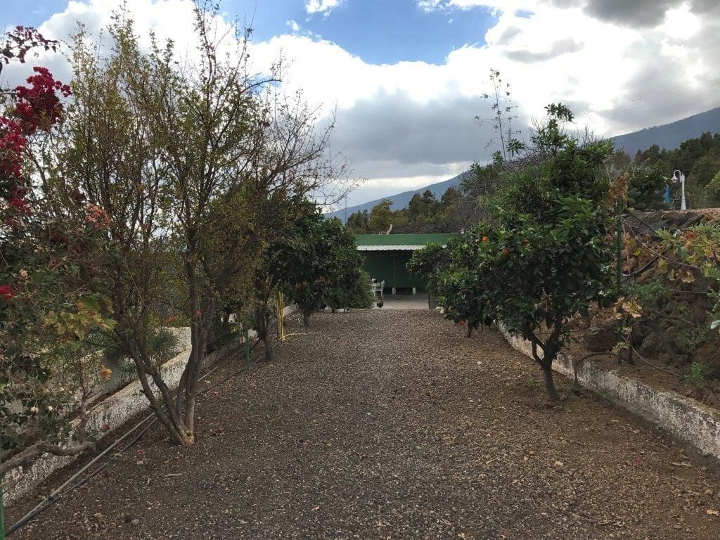 3 soverom Villa til salgs i Guimar - € 300 000 (Ref: 9000943)