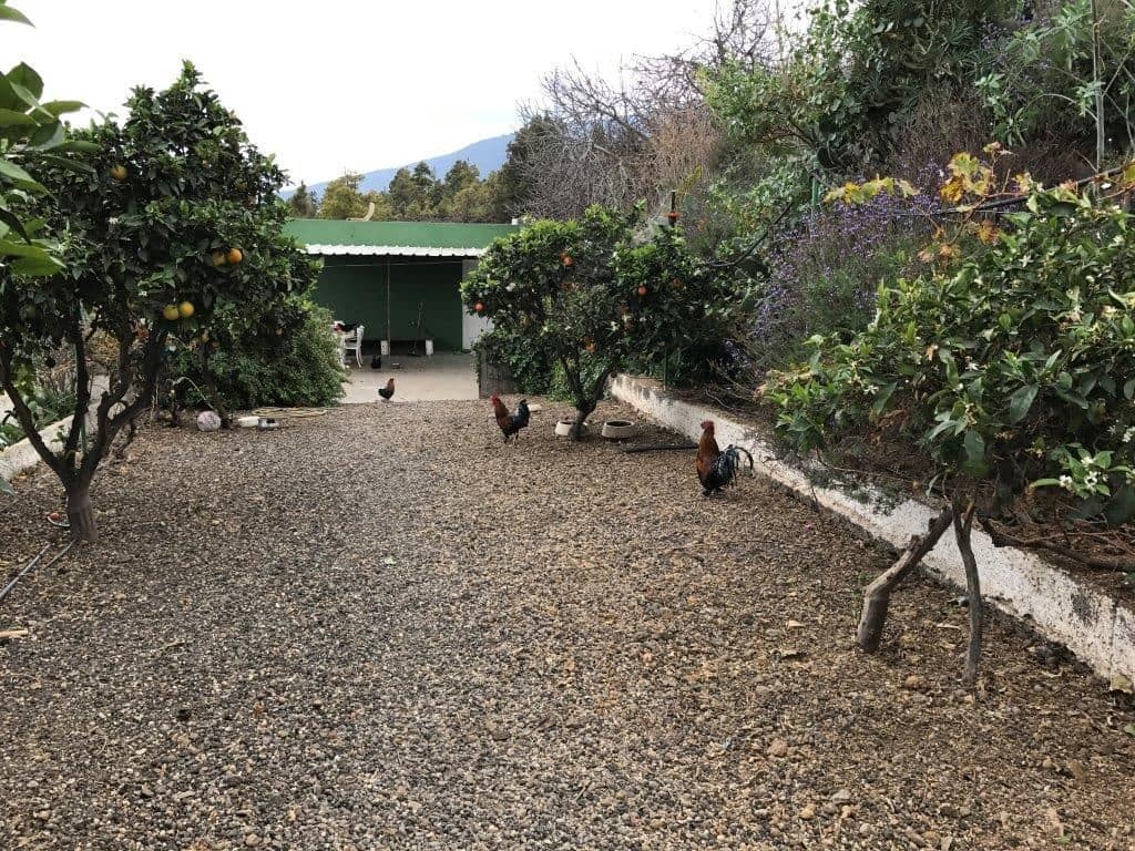 3 soverom Villa til salgs i Guimar - € 300 000 (Ref: 9000943)