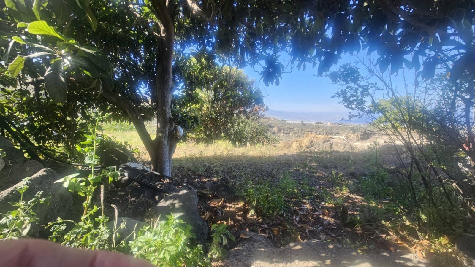 Finca/Hus på landet till salu i Guimar - 240 000 € (Ref: 9020644)