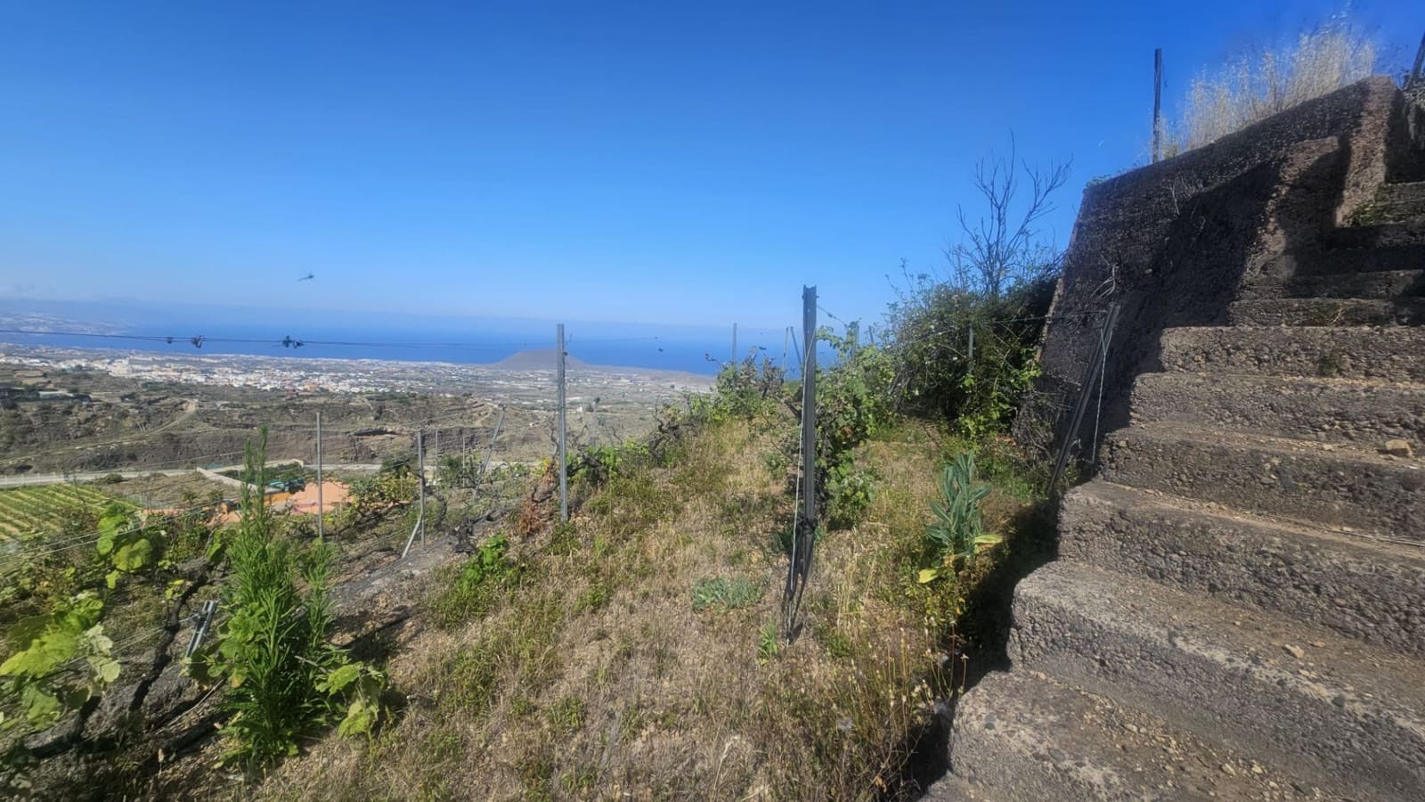 Finca/Hus på landet till salu i Guimar - 240 000 € (Ref: 9020644)