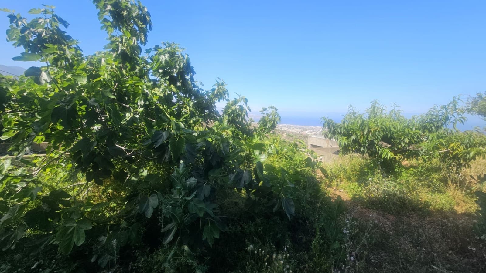 Finca/Hus på landet till salu i Guimar - 240 000 € (Ref: 9020644)