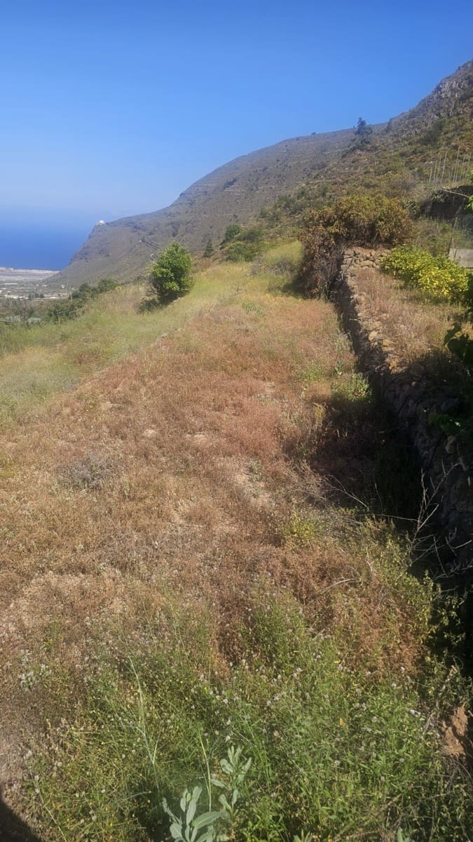 Finca/Hus på landet till salu i Guimar - 240 000 € (Ref: 9020644)