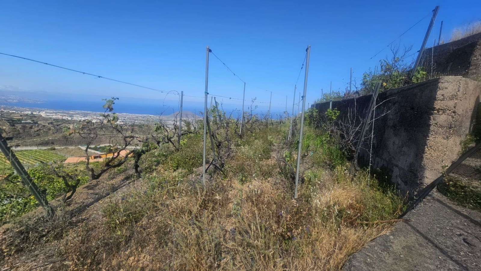 Finca/Hus på landet till salu i Guimar - 240 000 € (Ref: 9020644)