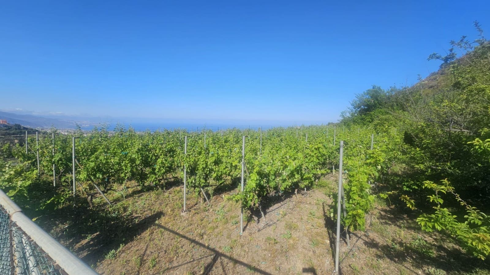 Finca/Hus på landet till salu i Guimar - 240 000 € (Ref: 9020644)